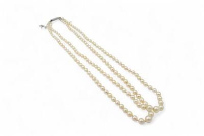 Collier à deux rangs de perles de culture en chute. Le fermo…