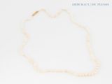 gros plan d'un collier de perles sur une surface blanche