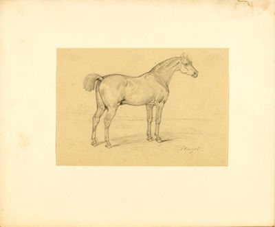 un vieux dessin représentant un cheval debout dans un champ, avec le ciel en arrière-plan