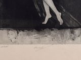 Photo 3/9 du lot