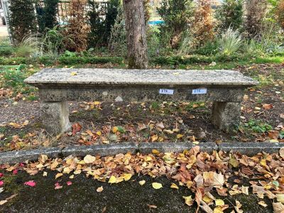 un banc en pierre situé au milieu d'un parc