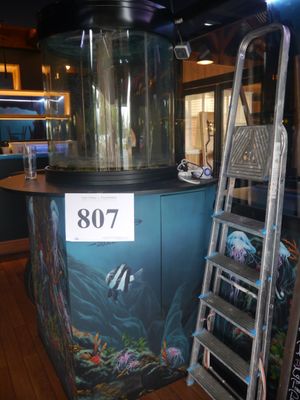 un aquarium avec une échelle à côté, dans une pièce