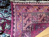 a cat that is sitting on a rug on the floor