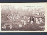 une vieille carte postale représentant un cimetière avec de nombreuses tombes