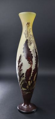 un vase posé sur une surface noire