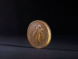a close up of a gold coin on a black background