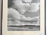 photographie en noir et blanc d'un champ avec des nuages dans le ciel
