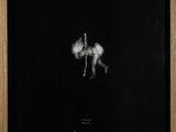black and white photograph of a man riding a horse in the dark