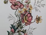 an illustration of a bunch of flowers on a white surface