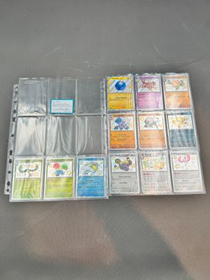 Pokemon : 21 Cartes Ultra Rares, Secretes, Serie 091, Ev4.