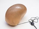 a wooden object with ear buds attached to it