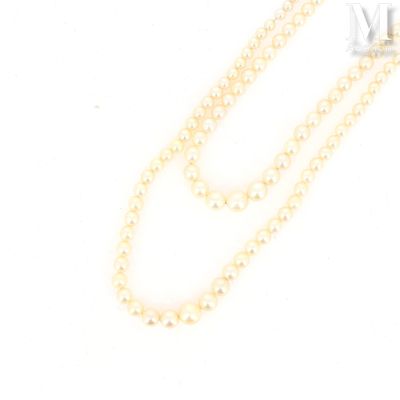 a close up of a white pearl necklace on a white background