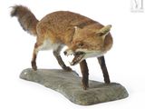 un faux renard debout sur un rocher