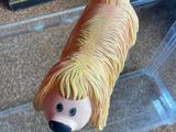 a plastic toy of a dog in a clear box