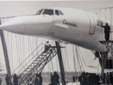 a large airplane that is being unloaded on the tarmac