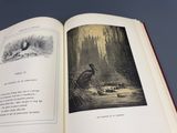 un livre ouvert sur lequel figure l'image d'un homme dans les bois