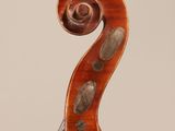 a close up of the back of a violin with a fiddle in the foreground