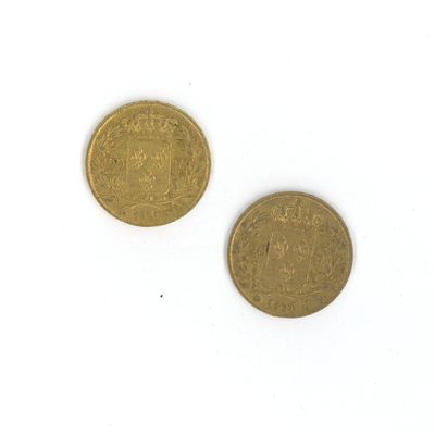 deux pièces d'or posées l'une à côté de l'autre sur une surface blanche