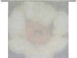 une photo d'une photo d'une fleur accrochée au mur