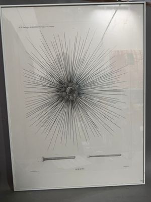 a picture of a picture of a starburst in a frame