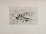 drawing of a dog laying on the ground in front of a mountain range
