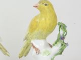 two yellow birds sitting on a branch of a tree