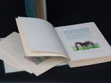 an open book with a picture of a horse on it