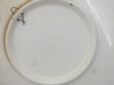 a white plate with a small black bug on it