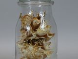 a glass jar with shells inside of it on a table