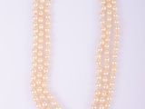 gros plan d'un collier de perles sur fond blanc