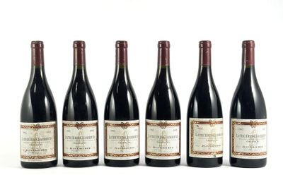six bouteilles de vin sont alignées sur une surface blanche