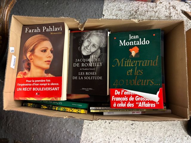 Lot de 2 cartons : littérature et divers