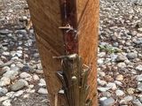 a close up view of a wooden post with a rusted piece of wood sticking out of it