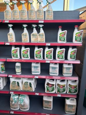 de nombreuses bouteilles de produits d'entretien sur les rayons du magasin