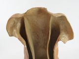 vase in the shape of an elephant ' s head on a white background
