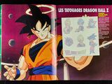 Photo 25/47 du lot