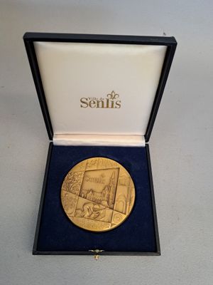 un gros plan sur une médaille d'or dans un coffret posé sur une table