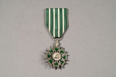 silver medal with green and white stripes and a star on it