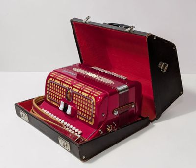 un accordéon rouge posé dans un étui sur une surface blanche