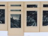 quatre photographies en noir et blanc représentant des arbres et une montagne