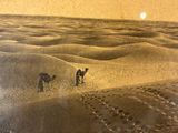 three camels that are walking in the sand