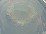 a close up of a glass jar with writing on it