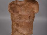 sculpture of a man ' s torso on a white base on a gray background