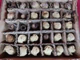 une boîte remplie de chocolats posée sur une table