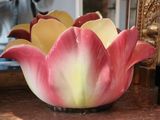 a pink and yellow flower sitting in a vase on a table