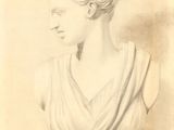 drawing of a bust of a woman with a bun in her hair