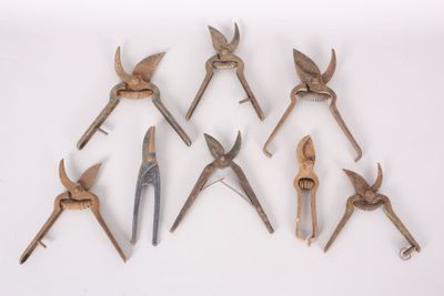 several different types of pliers are arranged on a white surface