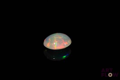 an oplite in the dark with its reflection on the surface