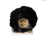 an image of a black hat with a gold lion on it