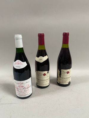 trois bouteilles de vin sont alignées sur une surface blanche